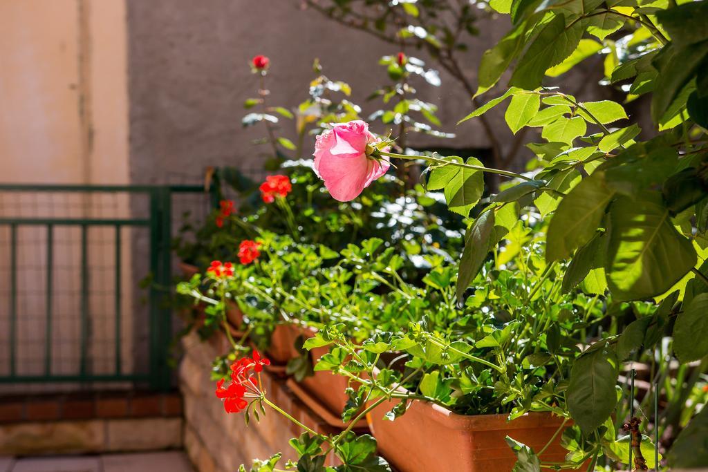 Apartments Leila Mali Lošinj Εξωτερικό φωτογραφία